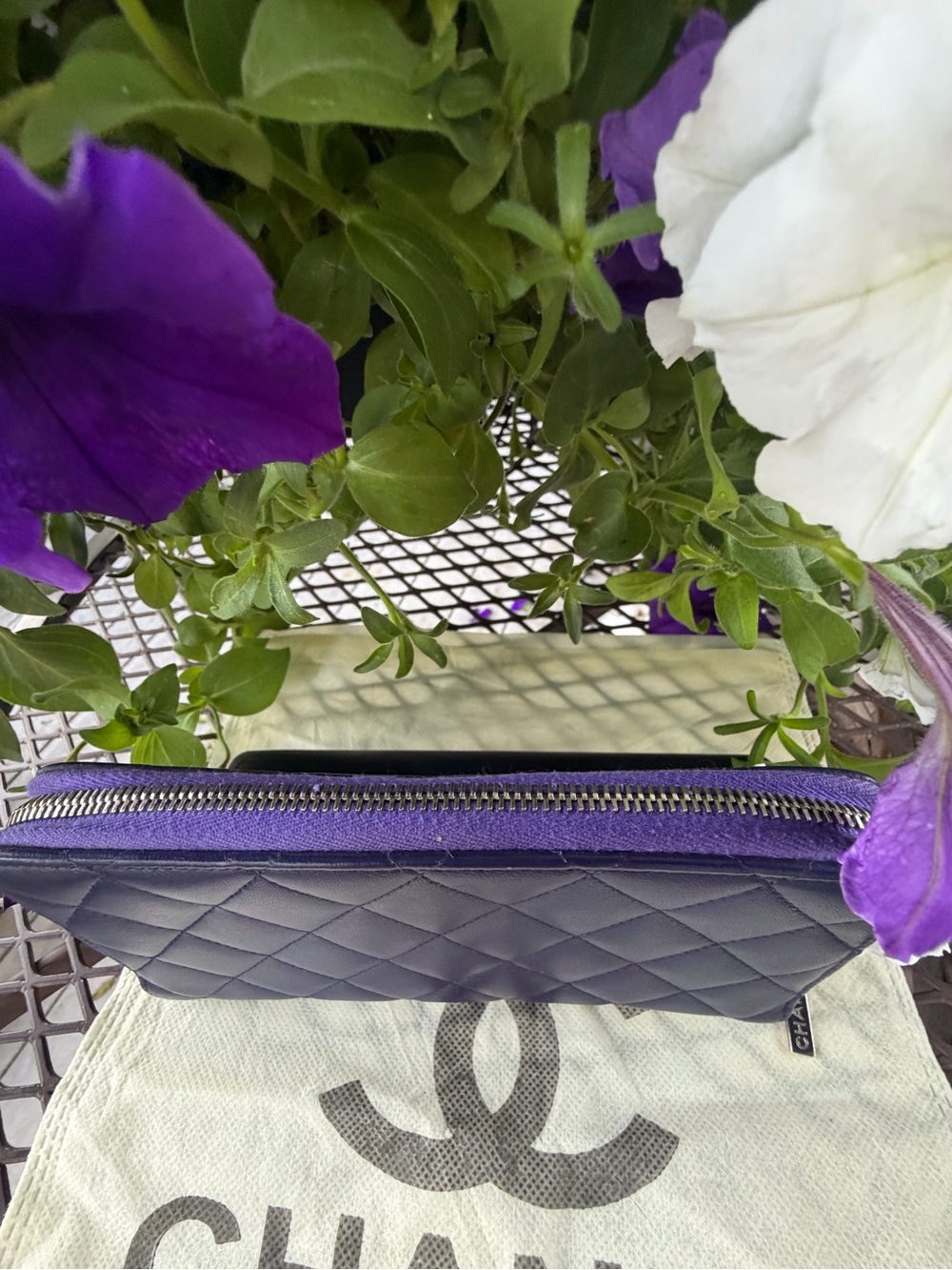 CHANEL PURPLE/PLUM LAMBSKIN QUILTED WALLET WITH COA - Picture 5 of 16